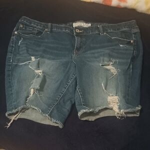 Torrid Ripped Blue Jean Shorts